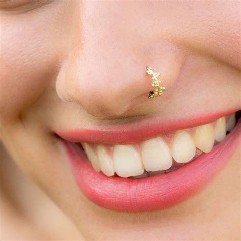 Types Of Nose Ring Jewelry at Audrey Brabyn blog