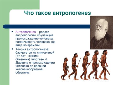 Презентация к уроку "Антропогенез"