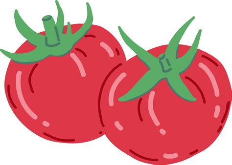 doodle freehand sketch drawing of tomato vegetable. 11357927 PNG