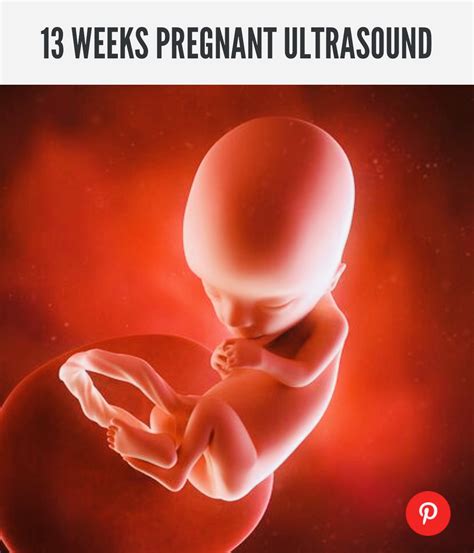 PREGNANCY WEEK 13 ~ HEALTH and FITNESS