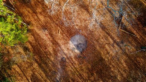 Devil’s Tramping Ground | Visit North Carolina