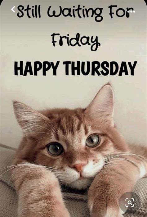 101 funny thursday memes to make you happy all day long - Artofit