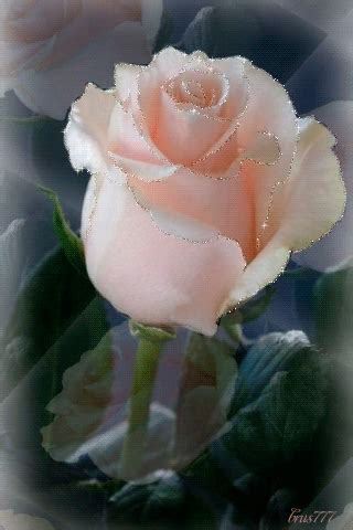 roses gif - Page 2