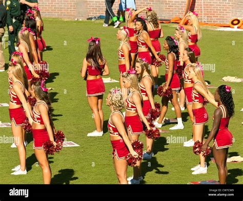 Florida State University Cheerleaders Stock Photo - Alamy