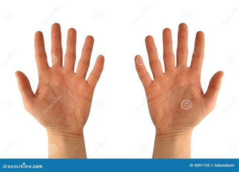 Hands With Six Fingers Stock Photography | CartoonDealer.com #4091720