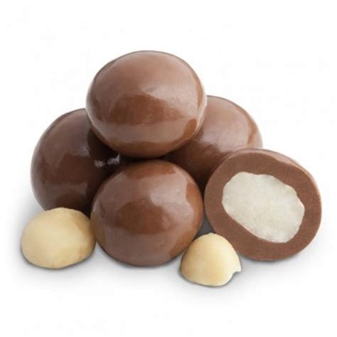 Milk Chocolate Macadamia Nuts | Chocolate Covered Nuts| Albanese Candy