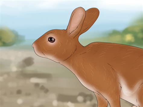 What Do Bunnies Mean Spiritually? Symbolism & Significance