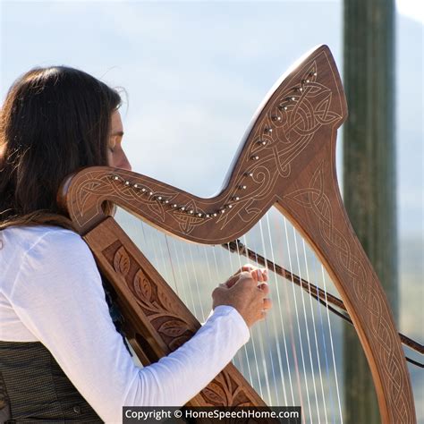 Harp Definition Sentence at Eula Garcia blog