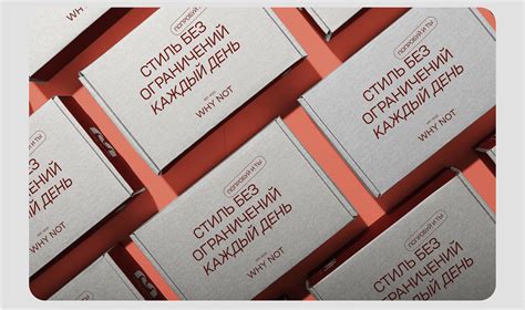 Брендинг и айдентика кэжуал одежды | Clothing Branding :: Behance
