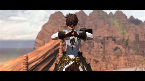 War - Monk animation Replacement | XIV Mod Archive