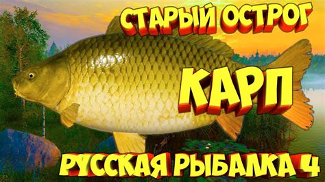 русская рыбалка 4 - Карп озеро Старый Острог - рр4 фарм Алексей Майоров ...