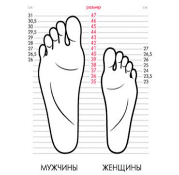 ᐈ Проверенные способы: как увеличить размер обуви - от Mario Muzi
