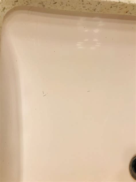 BEST WESTERN DUNMAR INN - Updated 2024 Prices & Hotel Reviews (Evanston ...