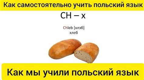 Как учить польский язык самостоятельно с нуля/Как мы учили польский ...