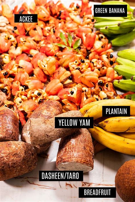 Jamaican Yam Benefits at Donna Tyler blog