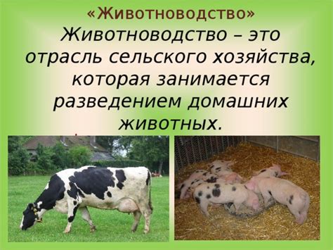 Презентация по окружающему миру " Животноводство" 3 класс