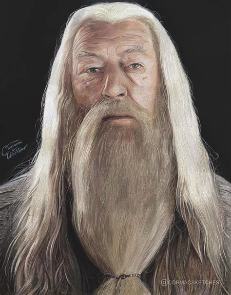 My pencil portrait of Albus Percival Wulfric Brian Dumbledore : r ...