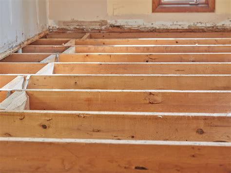 Structural Timber Floor Beams - The Best Picture Of Beam