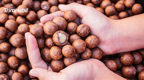 Do Macadamia Nuts Have Any Health Benefits at Sandra Mosher blog