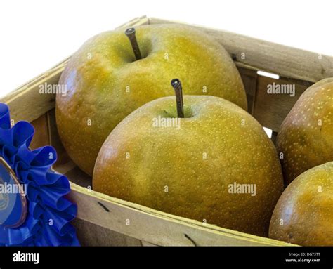 The blue ribbon apples at the Dixie Classic Fair Stock Photo - Alamy