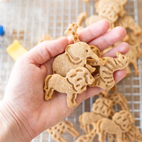 Animal Cookies - Cookies for Days