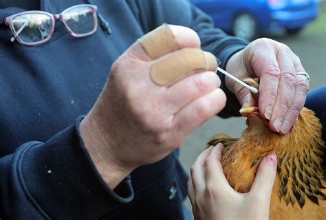 Is a virus going around? Details on the flu, COVID, norovirus, RSV