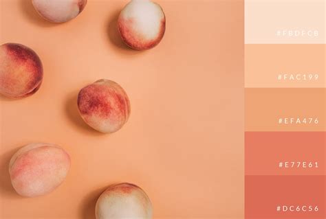 Retro Peach Color Palettes : Authentic 70s Color Palettes with Hex ...