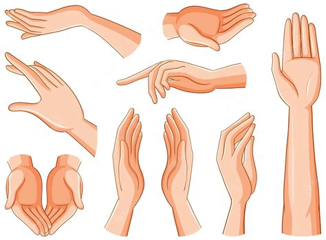 Hand Clip Art _ Hand Vector Free – ZZGH