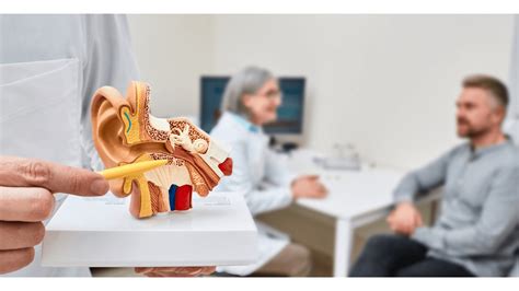 A Comprehensive Look at Conductive Hearing Loss - Hearing Aid Associates