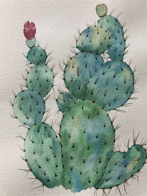 Cactus watercolor. Do you like watercolor’s cactus? | Plant painting ...