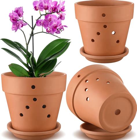 Amazon.com: Remerry 3 Pieces 8 Inch Orchid Pots with Holes and Saucers ...
