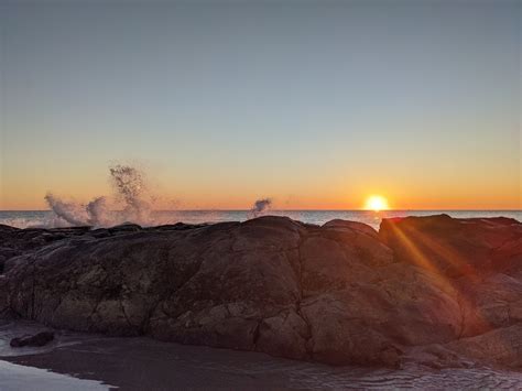 Piper and Foxx Nature Inspired Boutique