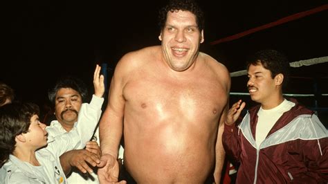 Media - Andre the Giant (Film, 2018)