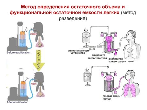 РЕОЛОГИЯ КРОВИ презентация, доклад