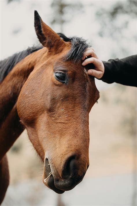 4+People+Matching+Pfp Photos, Download The BEST Free 4+People+Matching ...