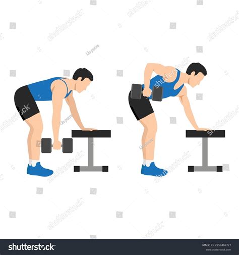 2+ Hundred Single Arm Row Exercise Royalty-Free Images, Stock Photos ...