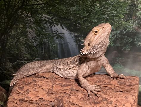 Spike 2 | Woodbury Public Library