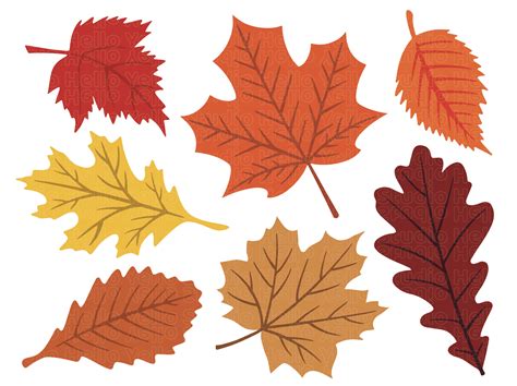Red Fall Leaf Clip Art
