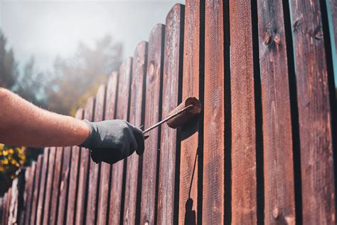How to Paint Pressure-Treated Wood: Tips & Timing
