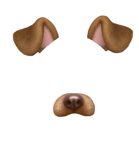 snapchat filters png | Snapchat dog filter, Snapchat dog face, Dog filter