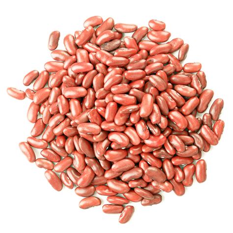 Dark Red Kidney Beans Seeds at Rory Barbour blog