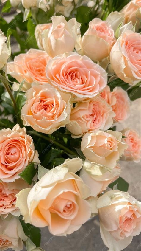 Premium Photo | A bouquet of peach roses