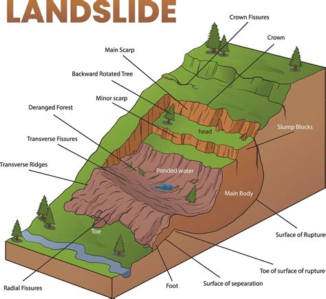 cross section illustration of landslide diagram 42674019 Vector Art at ...