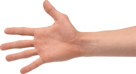 Grabbing Hand, Gesture, Open Palm Transparent