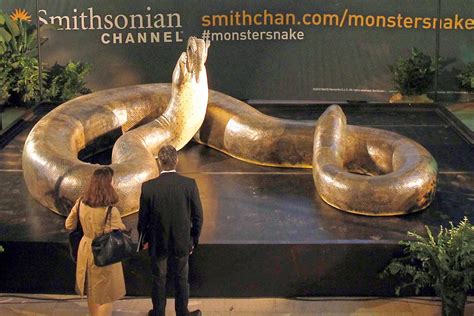 The largest snake in the world, Titanoboa - Blissful Life