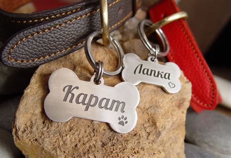 Клички для собак со значением (410+ идей): лучшие, что означают ...