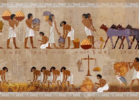Most Important People in the History of Agriculture - Dax Cooke | Life in ancient egypt ...