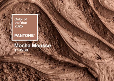 Pantone de 2025: entenda o significado e como usar