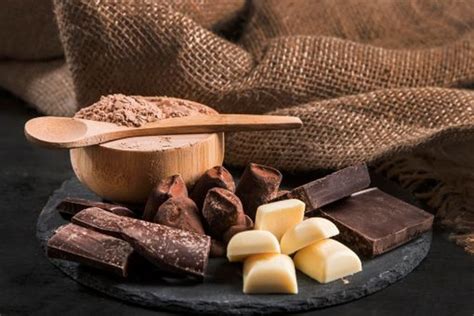 Насколько опасен шоколад для людей и домашних животных | MIGnews.ua ...