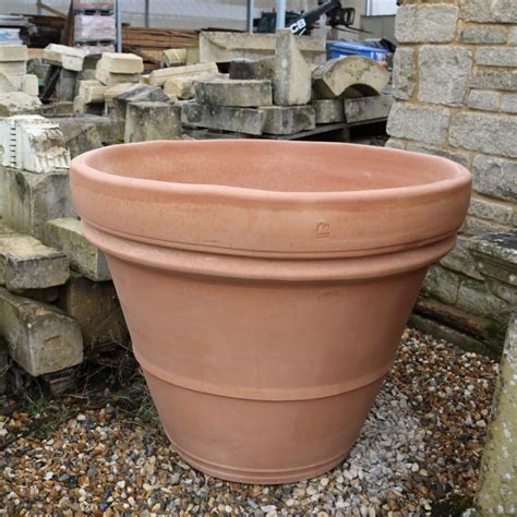 Extra Large Terracotta Pots For Trees at Charlene Ortega blog